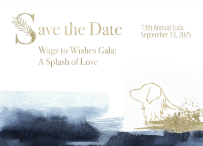 "A Spash of Love" Wags to Wishes Gala